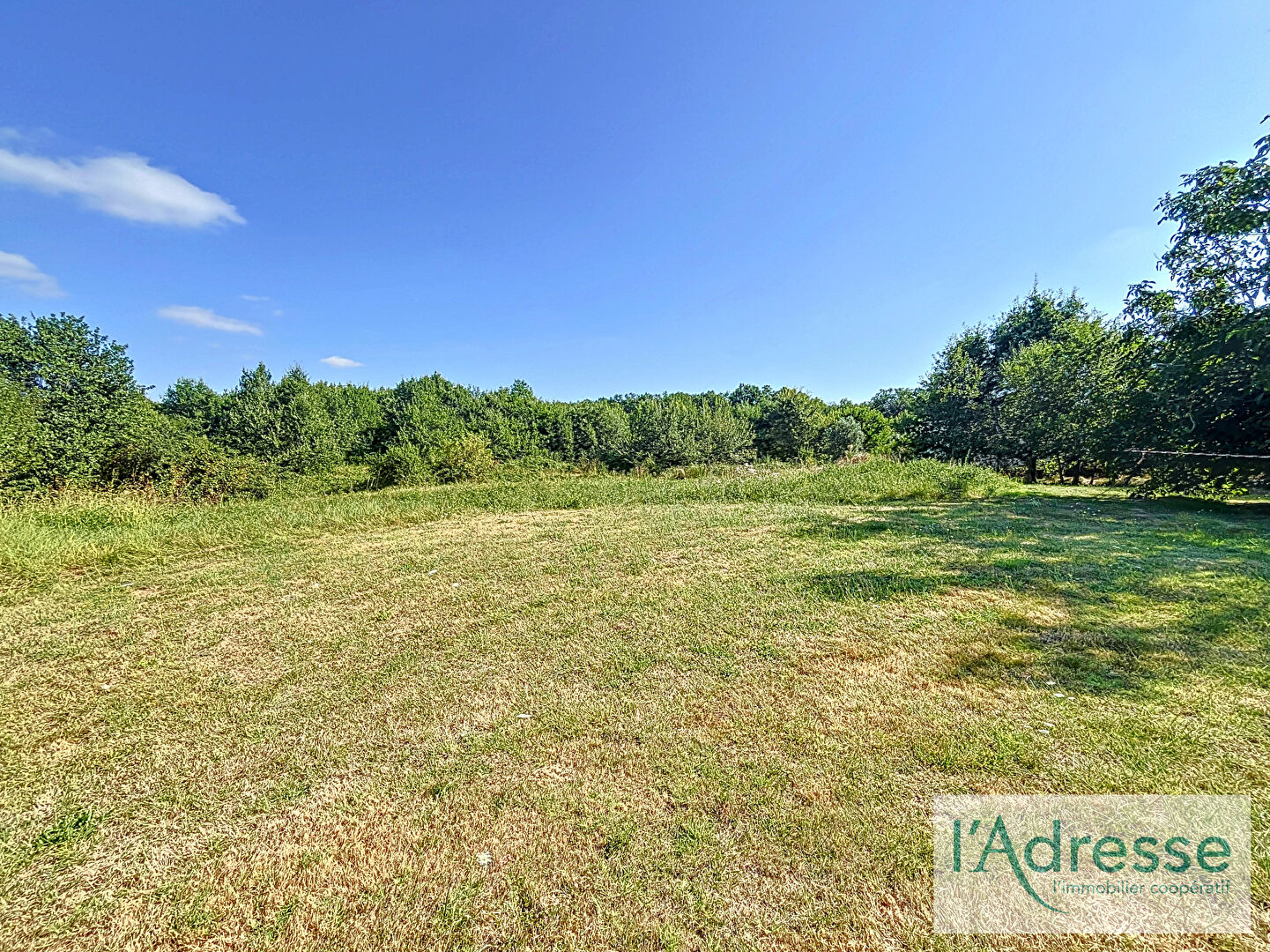 Terrain SAINT SAUVEUR (31790) 3300.00 m²