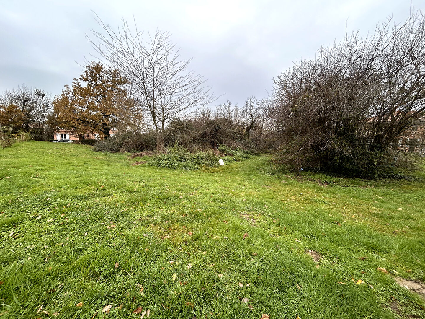 Terrain SAINT SAUVEUR (31790) 2057.00 m²