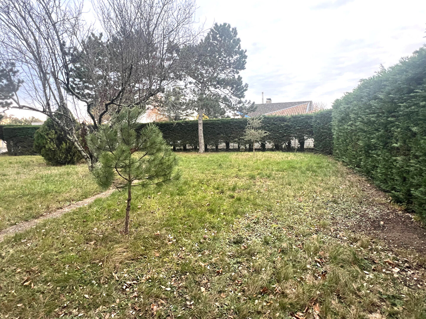 Terrain SAINT LOUP CAMMAS (31140) 556.00 m²