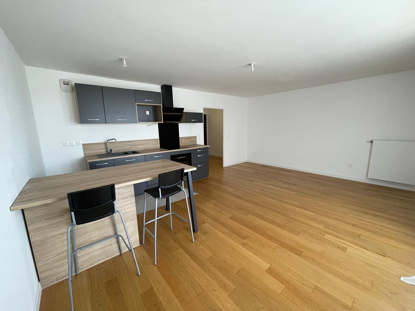 Appartement RUNGIS (94150) 1 pièce 39.74 m²