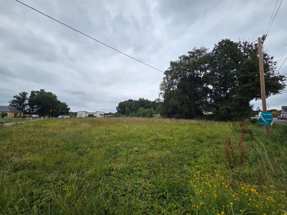 Terrain GUEMENE PENFAO (44290) 995.00 m²