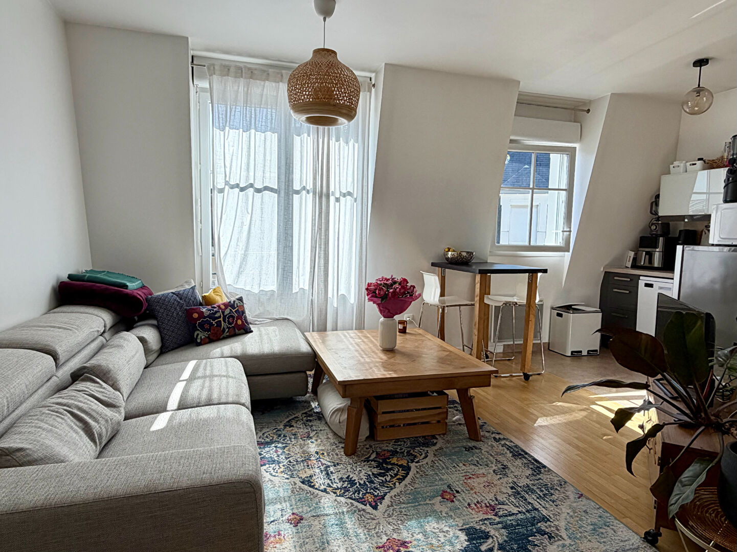 Appartement LE PLESSIS ROBINSON (92350) 2 pi&egrave;ces 39.10 m&sup2;