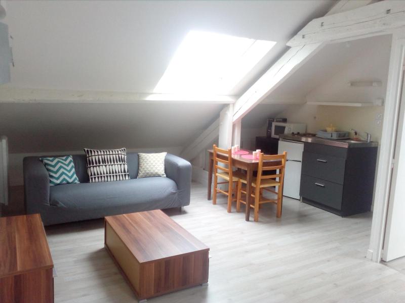 Appartement NANTES (44000) 1 pi&egrave;ce 19.22 m&sup2;