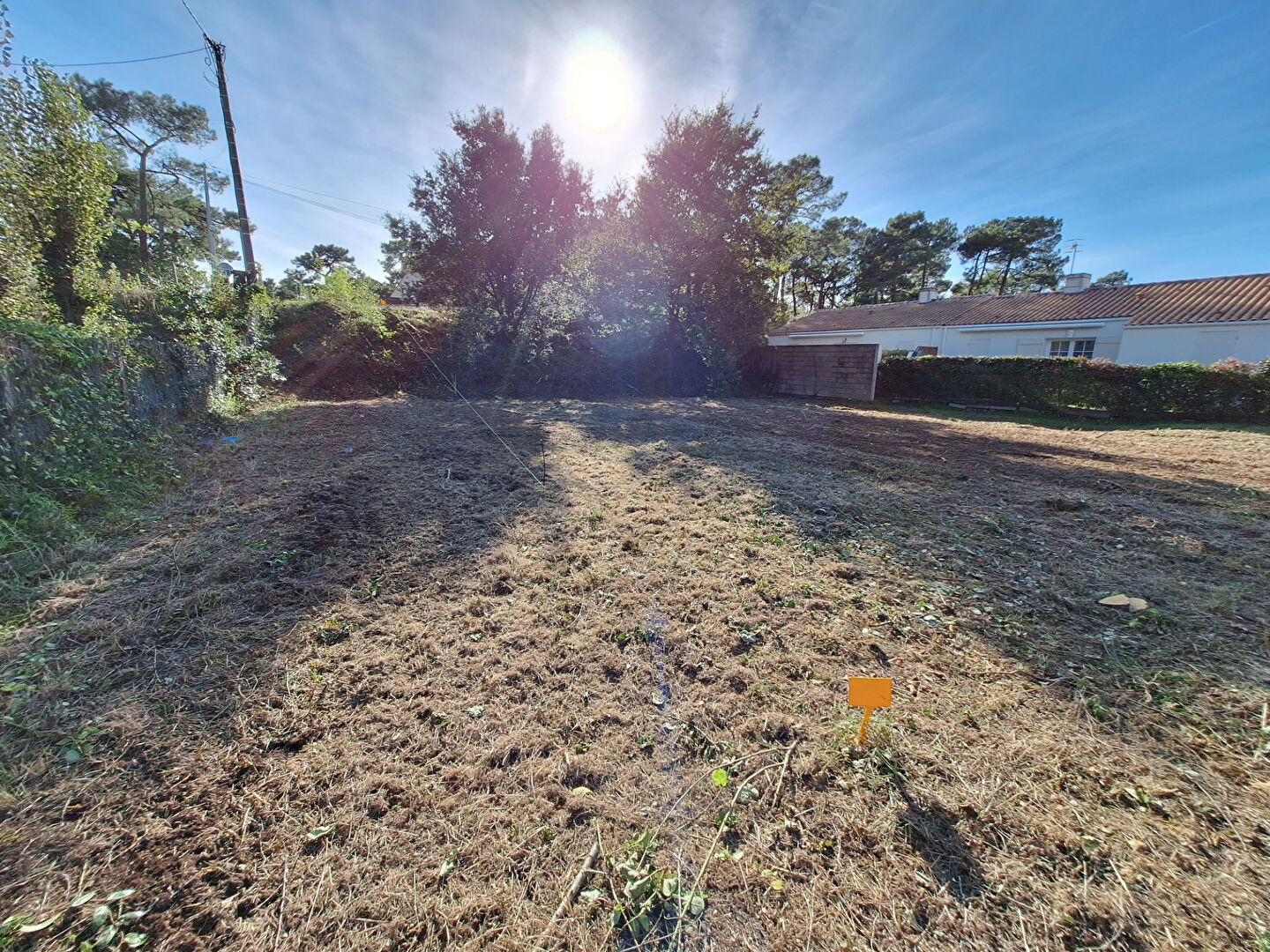 Terrain LA TRANCHE SUR MER (85360) 487.00 m²