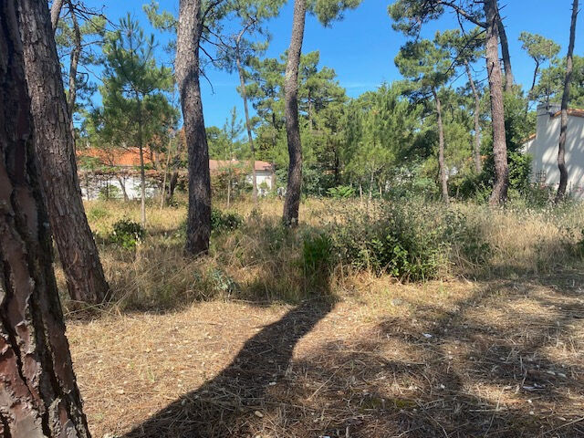 Terrain LA TRANCHE SUR MER (85360) 477.00 m²
