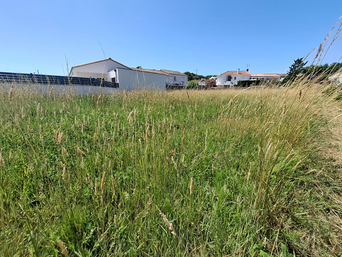 Terrain LA TRANCHE SUR MER (85360) 701.00 m²