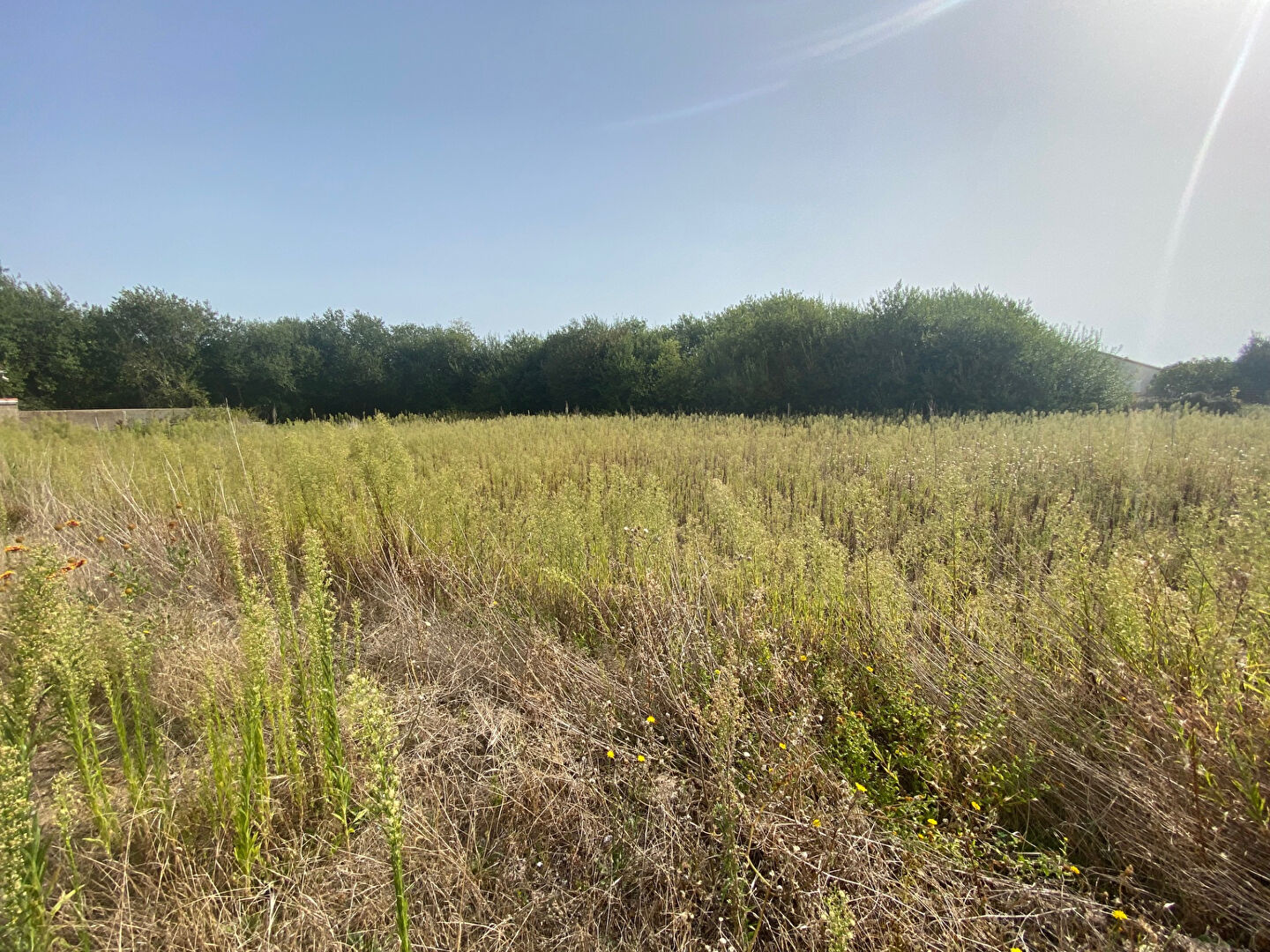 Terrain LA TRANCHE SUR MER (85360) 282.00 m²