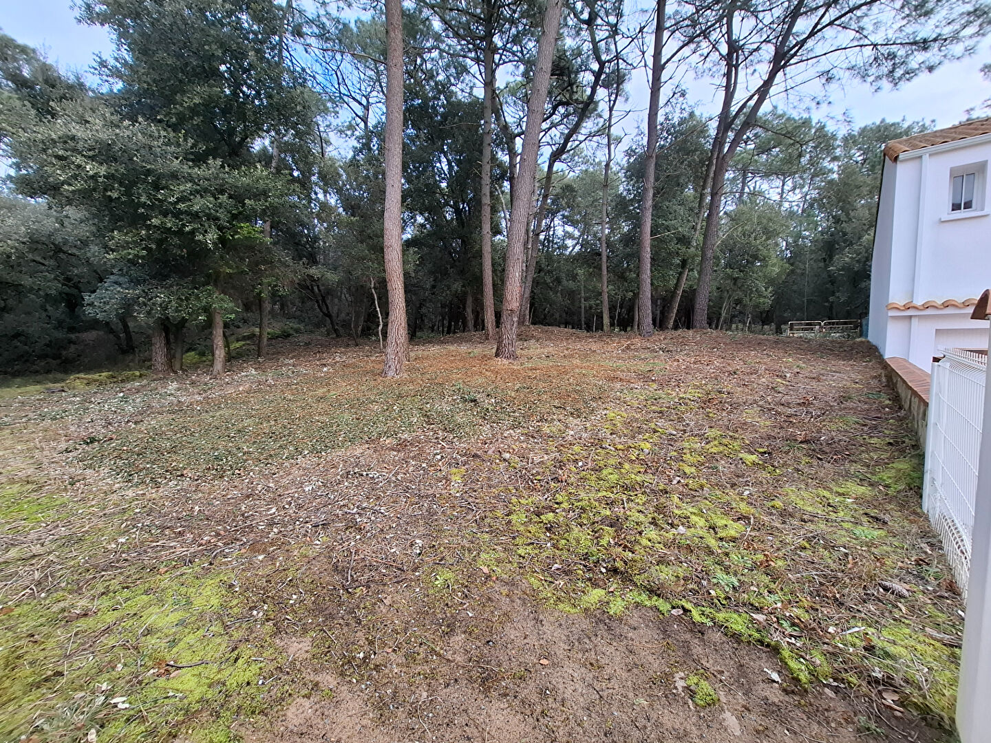 Terrain LA TRANCHE SUR MER (85360)