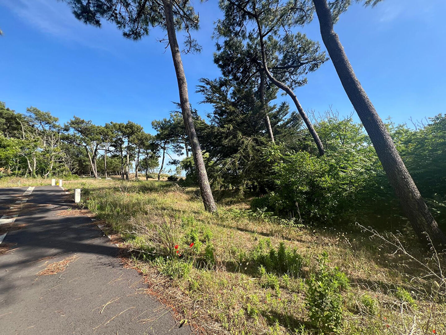 Terrain LA TRANCHE SUR MER (85360) 297.00 m&sup2;