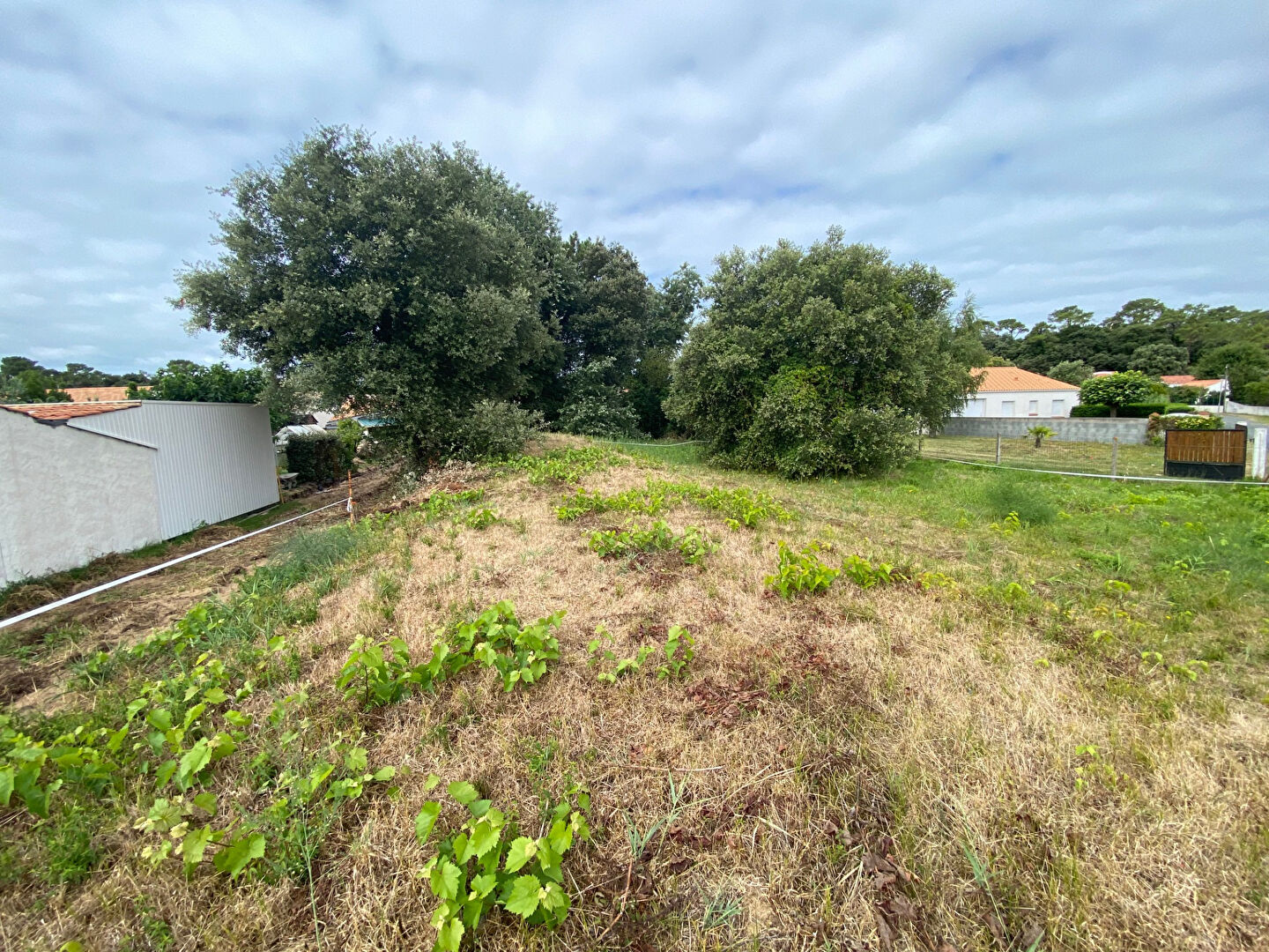 Terrain LA TRANCHE SUR MER (85360) 400.00 m²