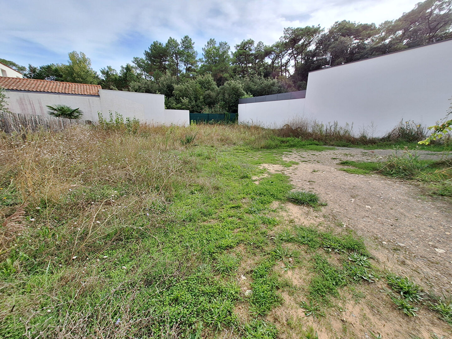 Terrain LA TRANCHE SUR MER (85360) 634.00 m²