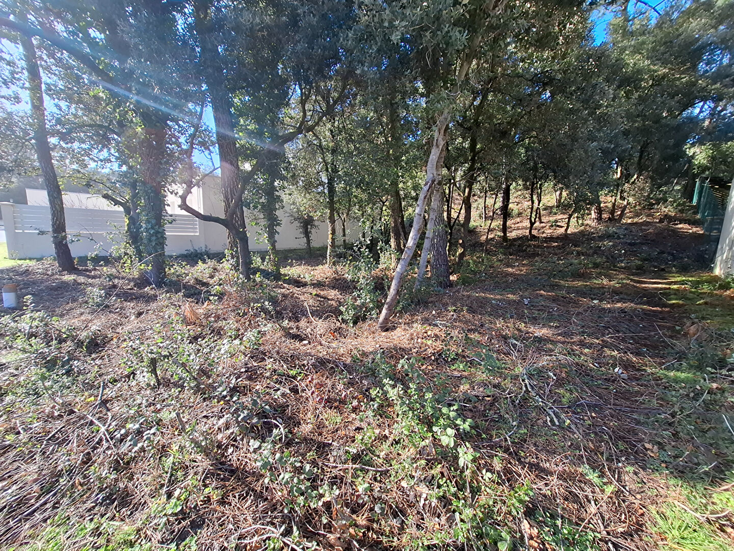 Terrain LA TRANCHE SUR MER (85360) 794.00 m&sup2;