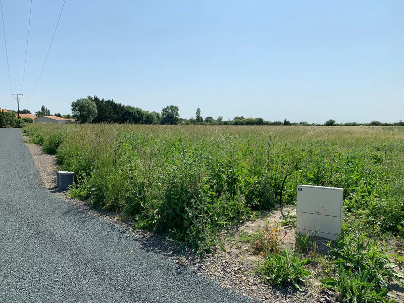 Terrain GRUES (85580) 500.00 m&sup2;