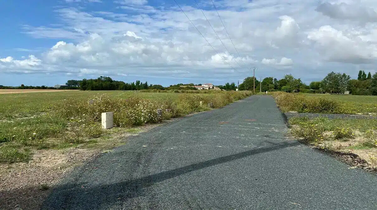 Terrain GRUES (85580) 562.00 m&sup2;