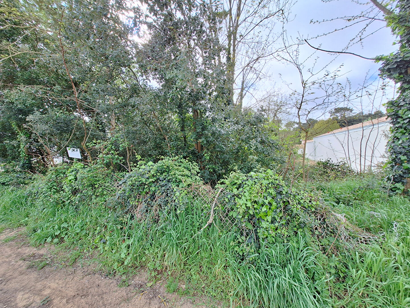 Terrain LA TRANCHE SUR MER (85360) 848.00 m&sup2;