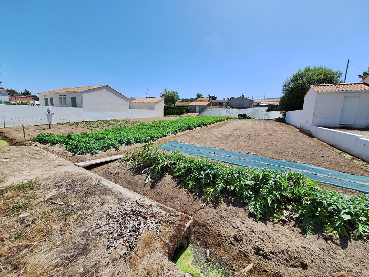 Terrain LA TRANCHE SUR MER (85360) 870.00 m&sup2;