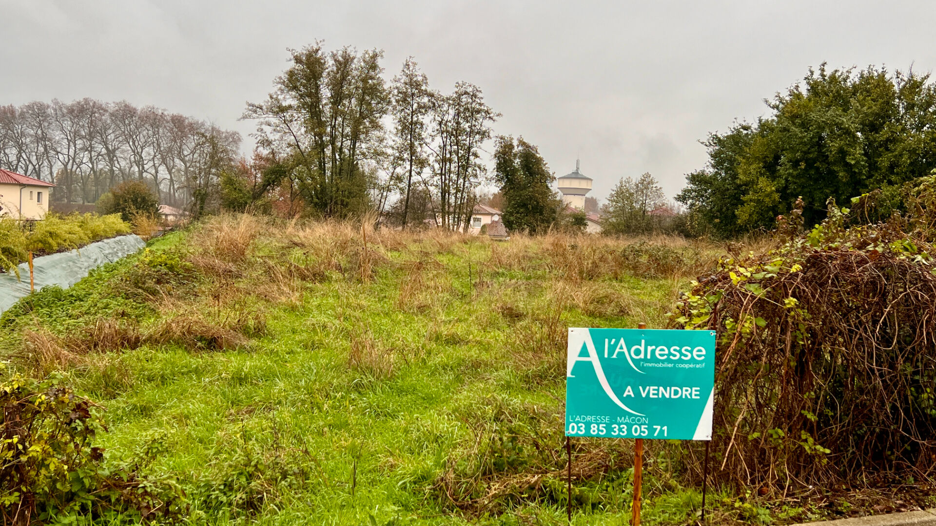 Terrain BAGE LE CHATEL (01380) 2475.00 m²