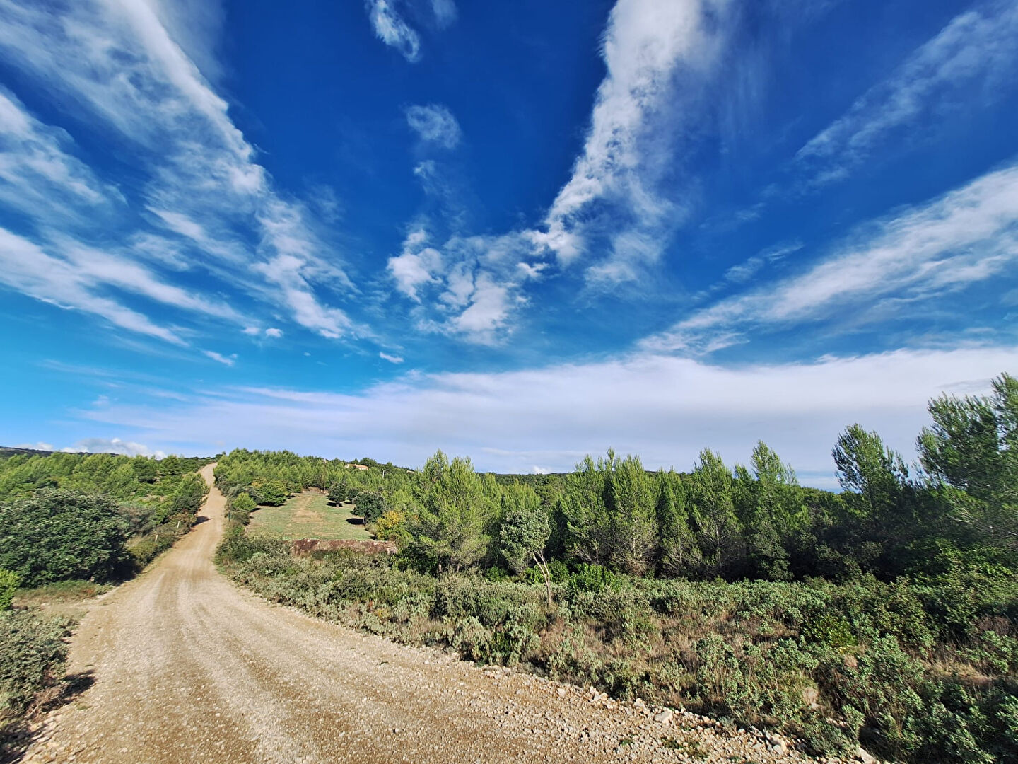 Terrain de loisirs SAINT GERVASY (30320) 11388.00 m²