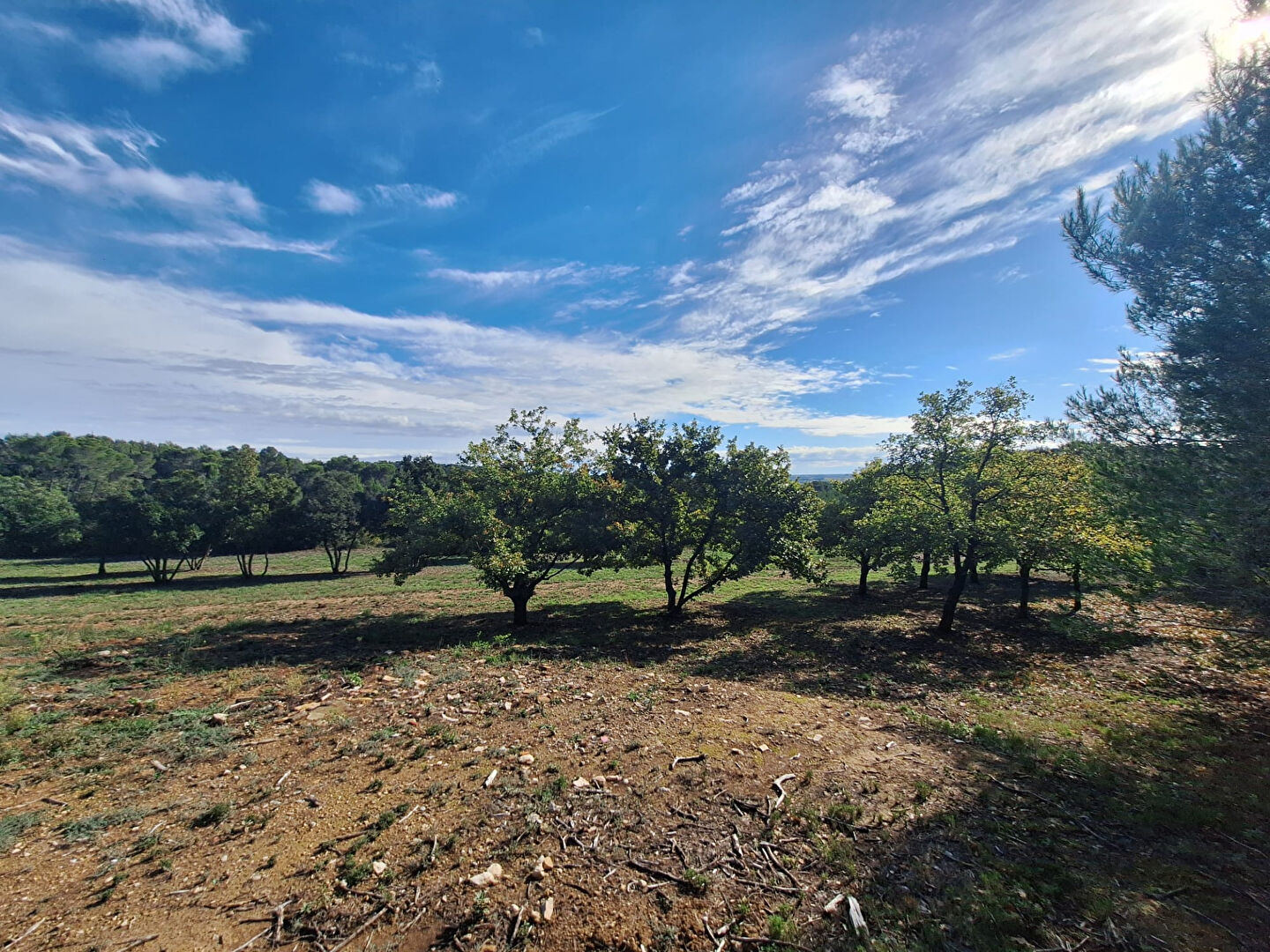 Terrain de loisirs SAINT GERVASY (30320) 11388.00 m&sup2;