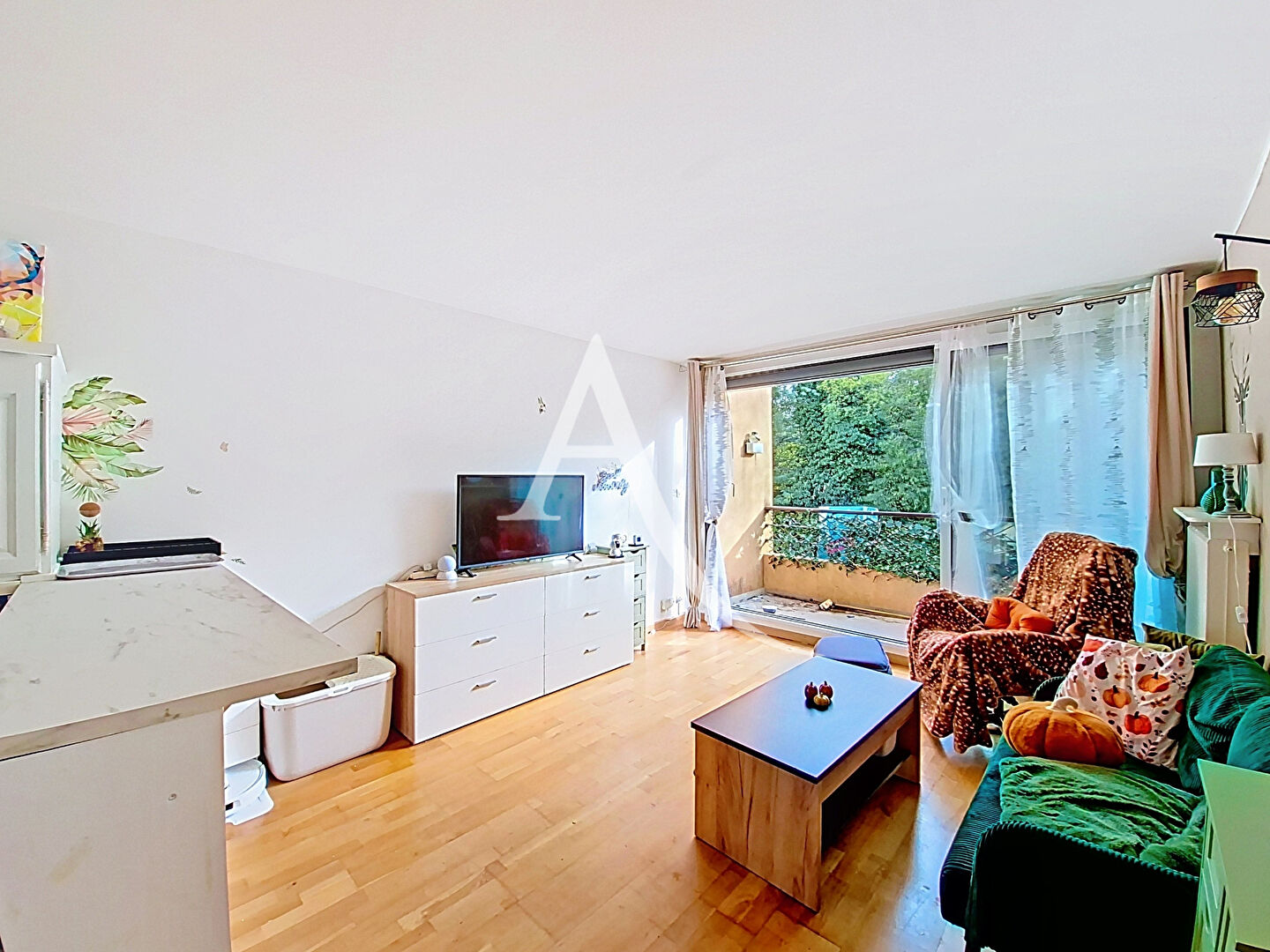 Appartement MASSY (91300) 2 pi&egrave;ces 36.09 m&sup2;