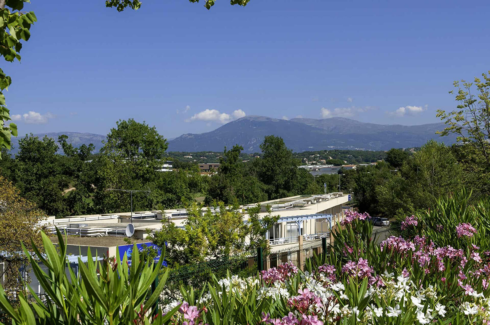 Appartement BIOT (06410) 1 pi&egrave;ce