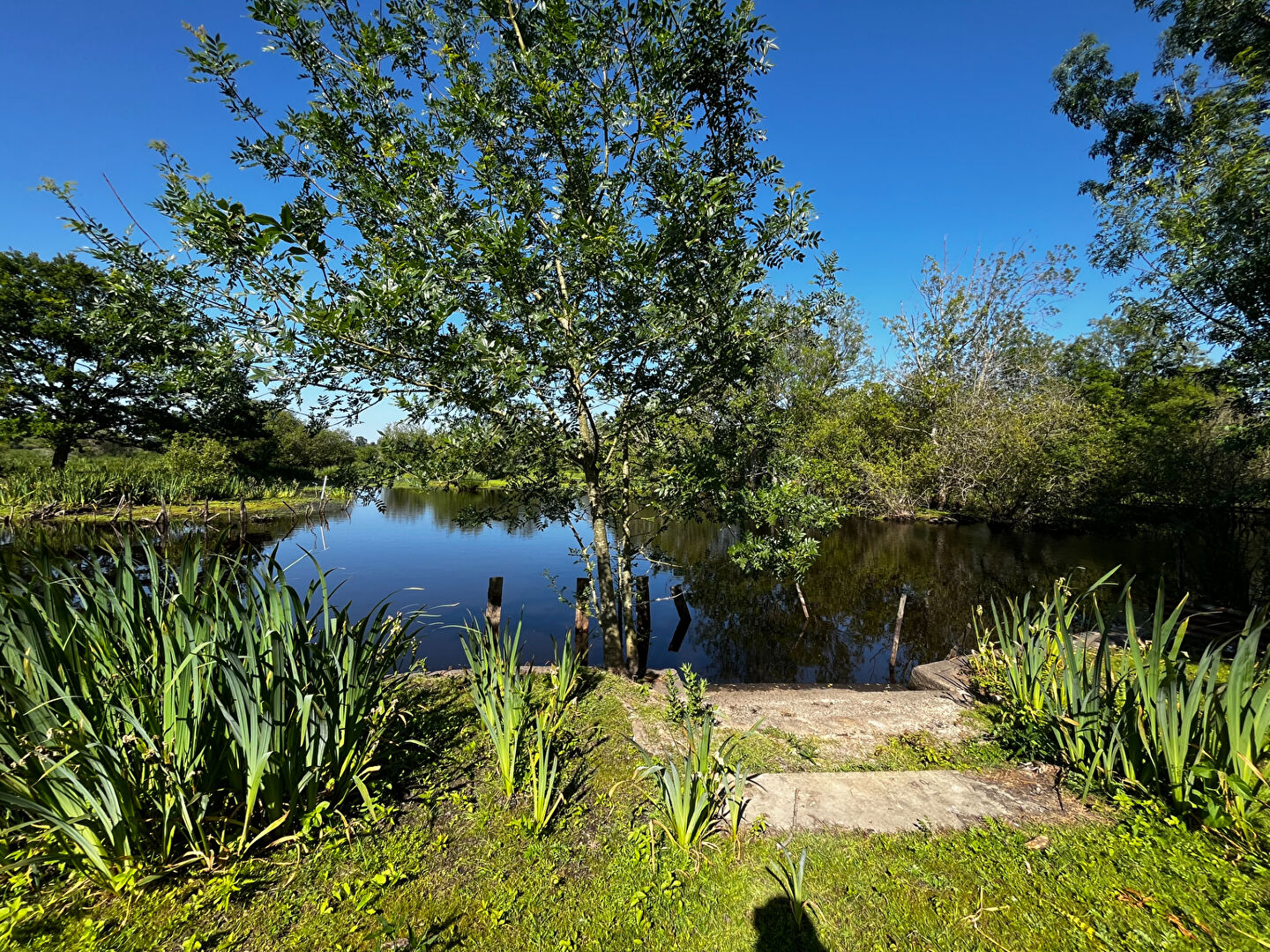 Terrain SAINT JOACHIM (44720) 1060.00 m&sup2;