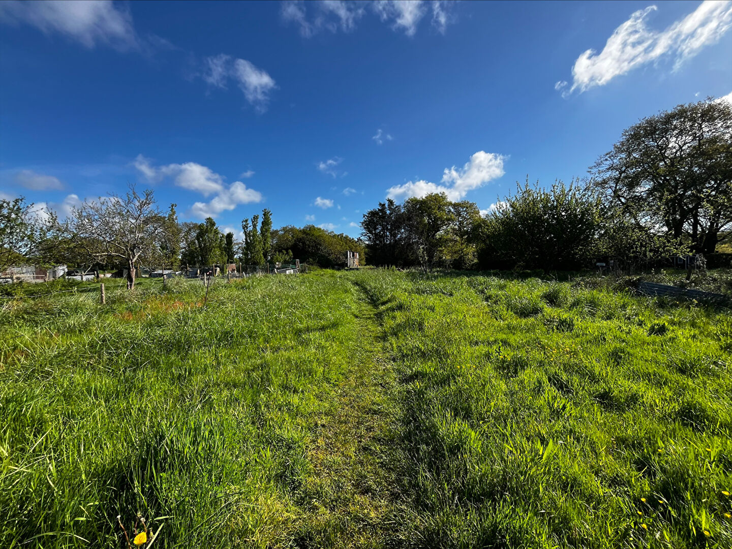 Terrain DONGES (44480) 854.00 m²