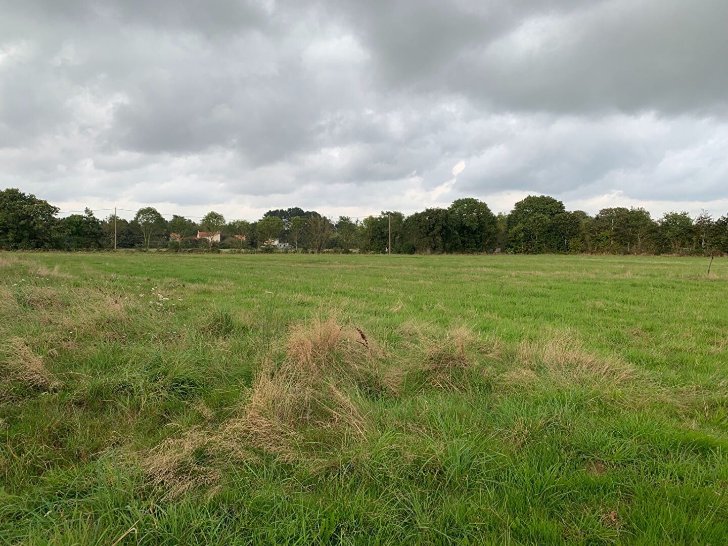 Terrain SAINT BREVIN LES PINS (44250) 452.00 m²
