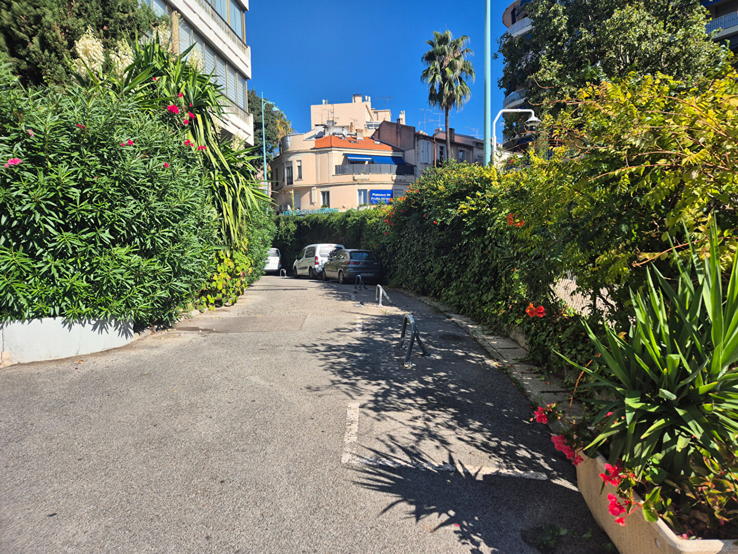 Appartement LE CANNET (06110) 2 pièces 27.69 m²