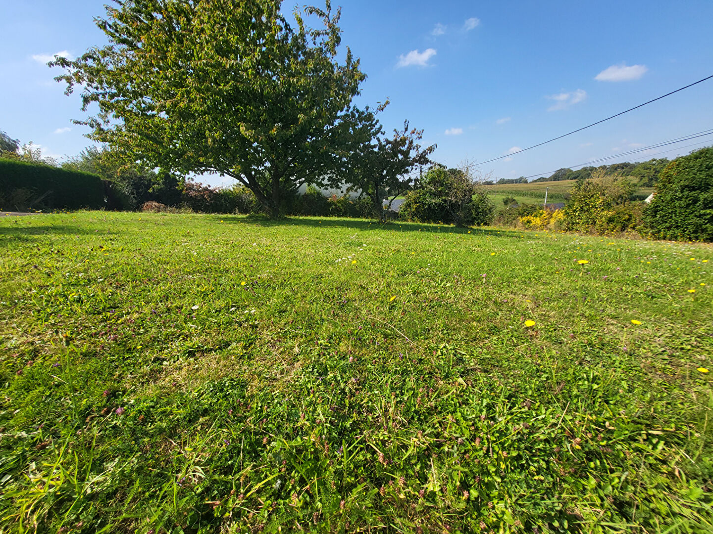 Terrain MARSAC SUR DON (44170) 1000.00 m²