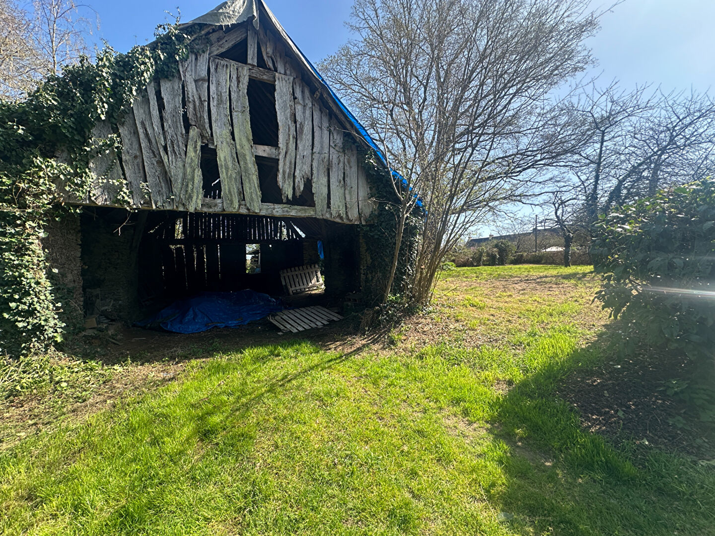 Terrain JANS (44170) 680.00 m&sup2;