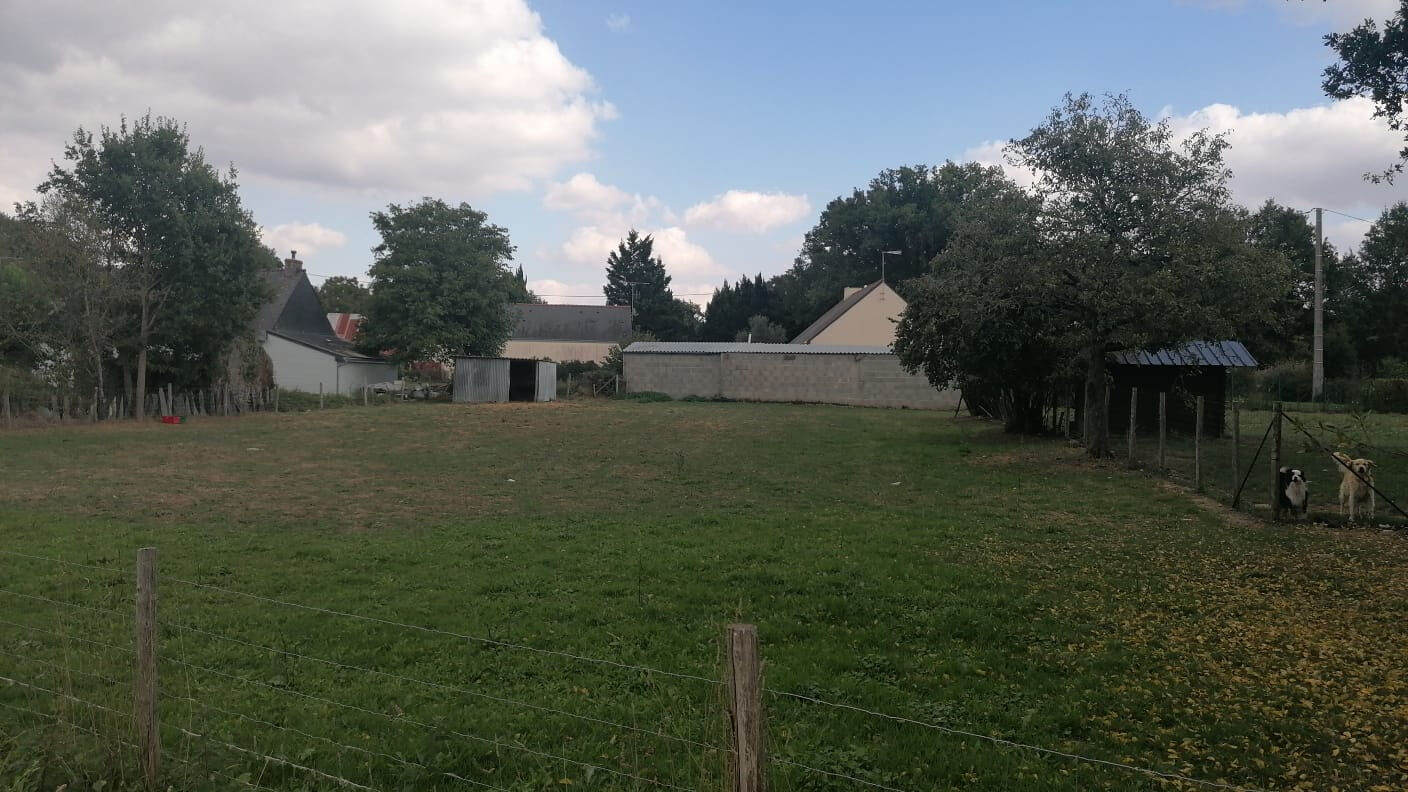 Terrain NOZAY (44170) 1200.00 m²