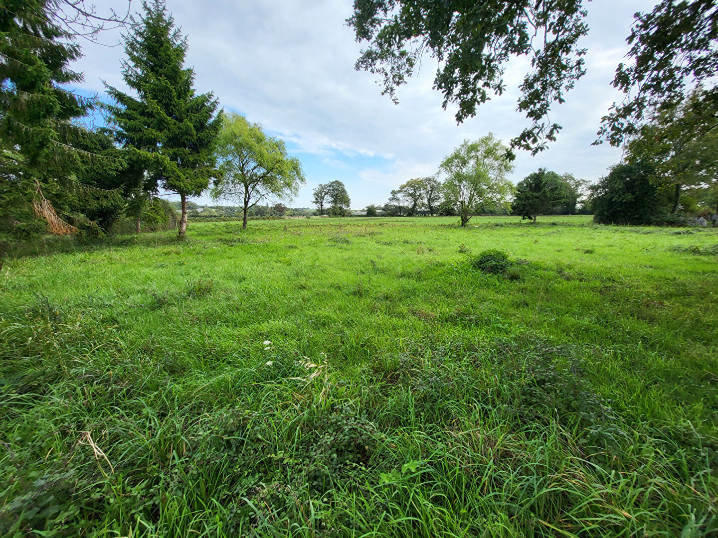 Terrain NOZAY (44170) 869.00 m²