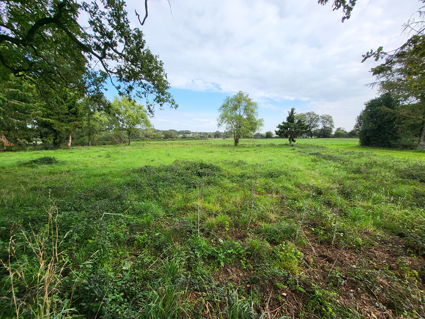 Terrain MARSAC SUR DON (44170) 716.00 m²