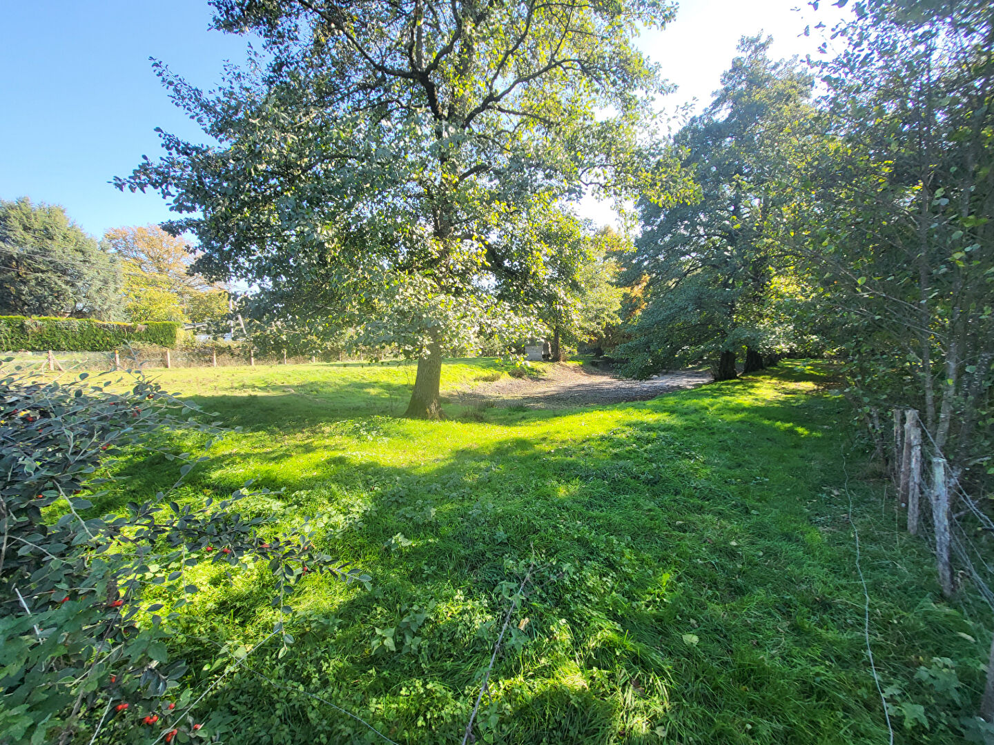Terrain VAY (44170) 3320.00 m²