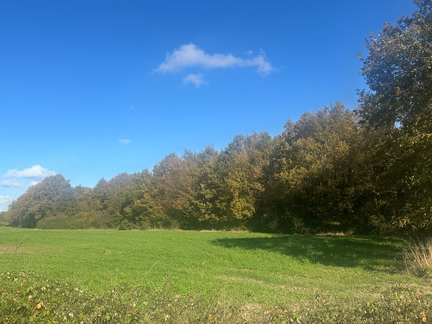 Terrain TREFFIEUX (44170) 29040.00 m²