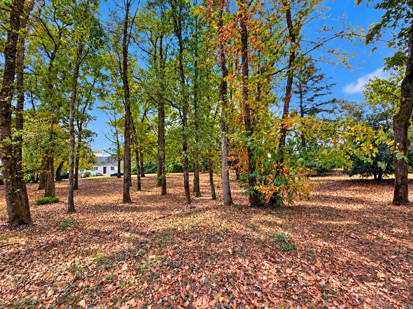 Maison NOZAY (44170) 7 pi&egrave;ces 93.00 m&sup2;