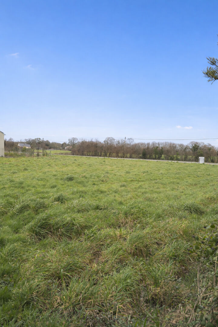 Terrain NOZAY (44170) 950.00 m&sup2;