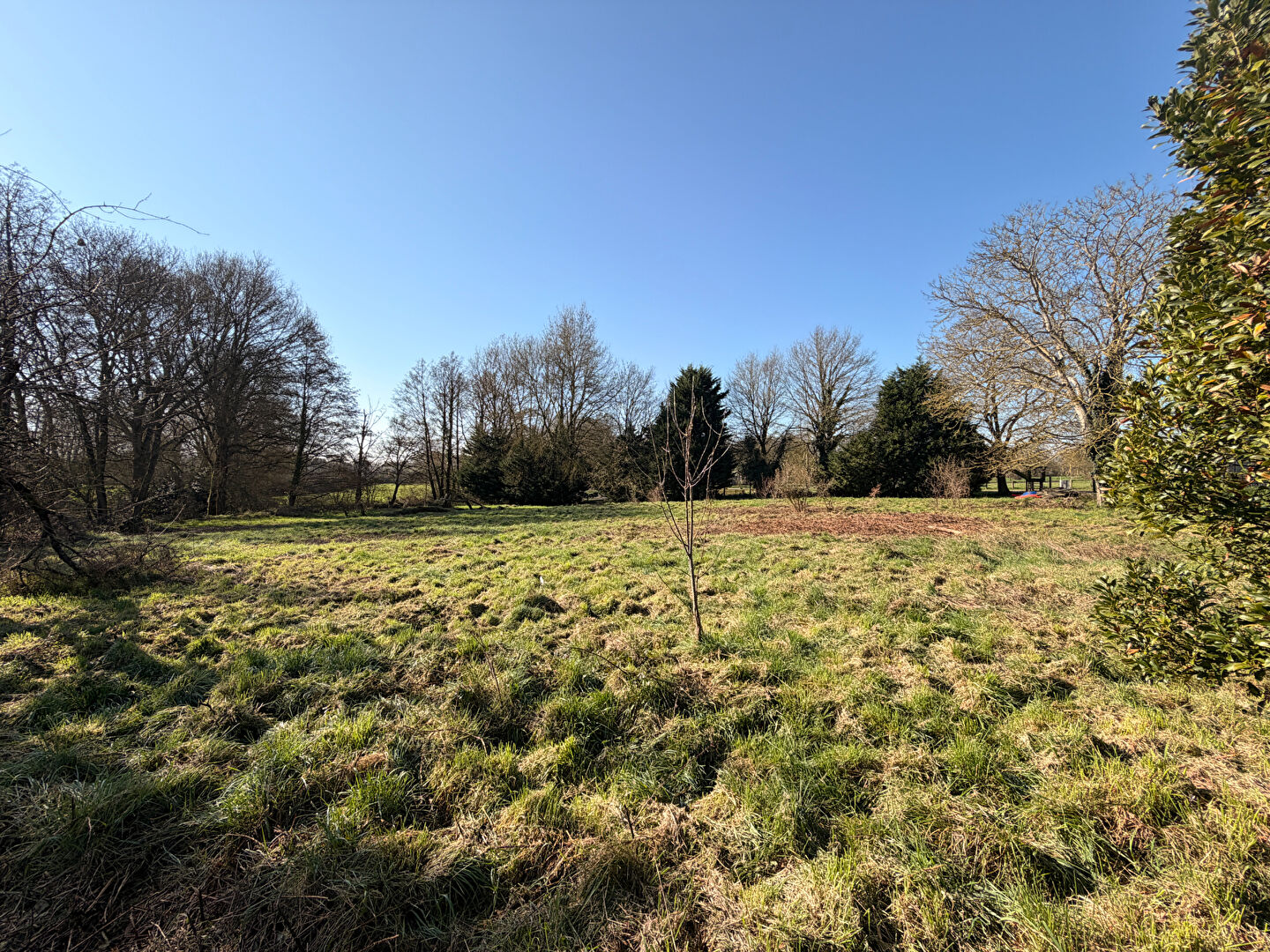 Terrain NOZAY (44170) 3013.00 m&sup2;