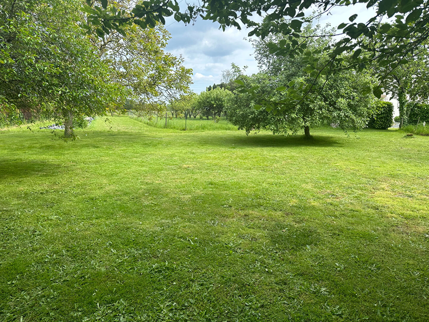Terrain NOZAY (44170) 1065.00 m&sup2;