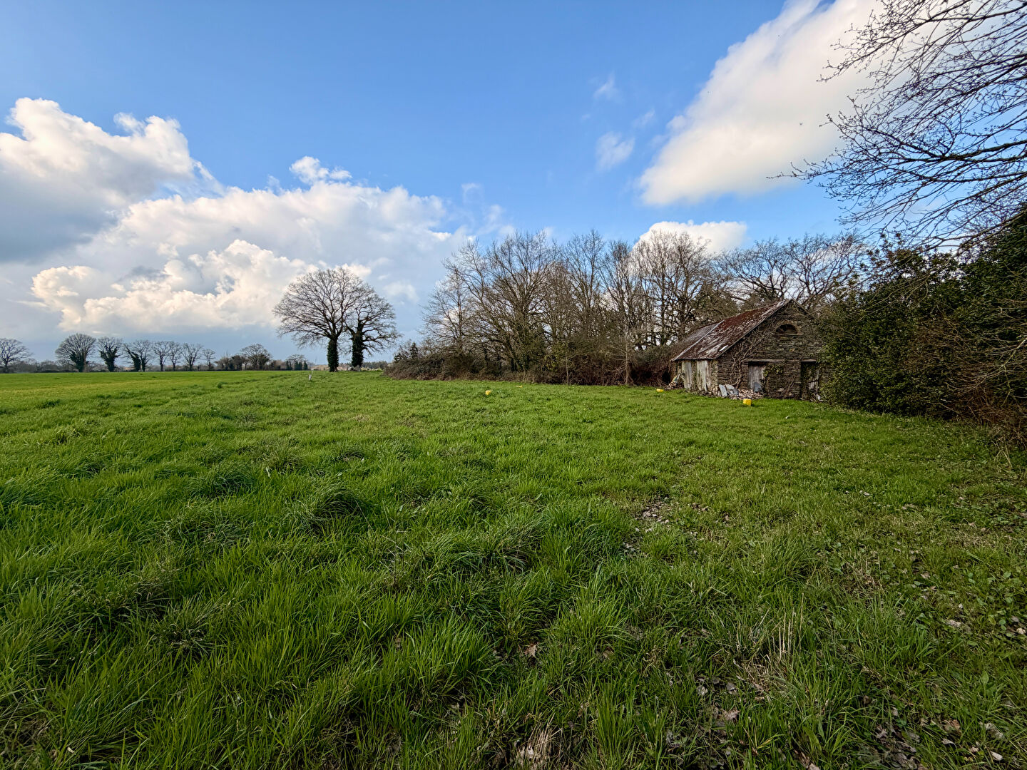 Terrain NOZAY (44170) 584.00 m&sup2;