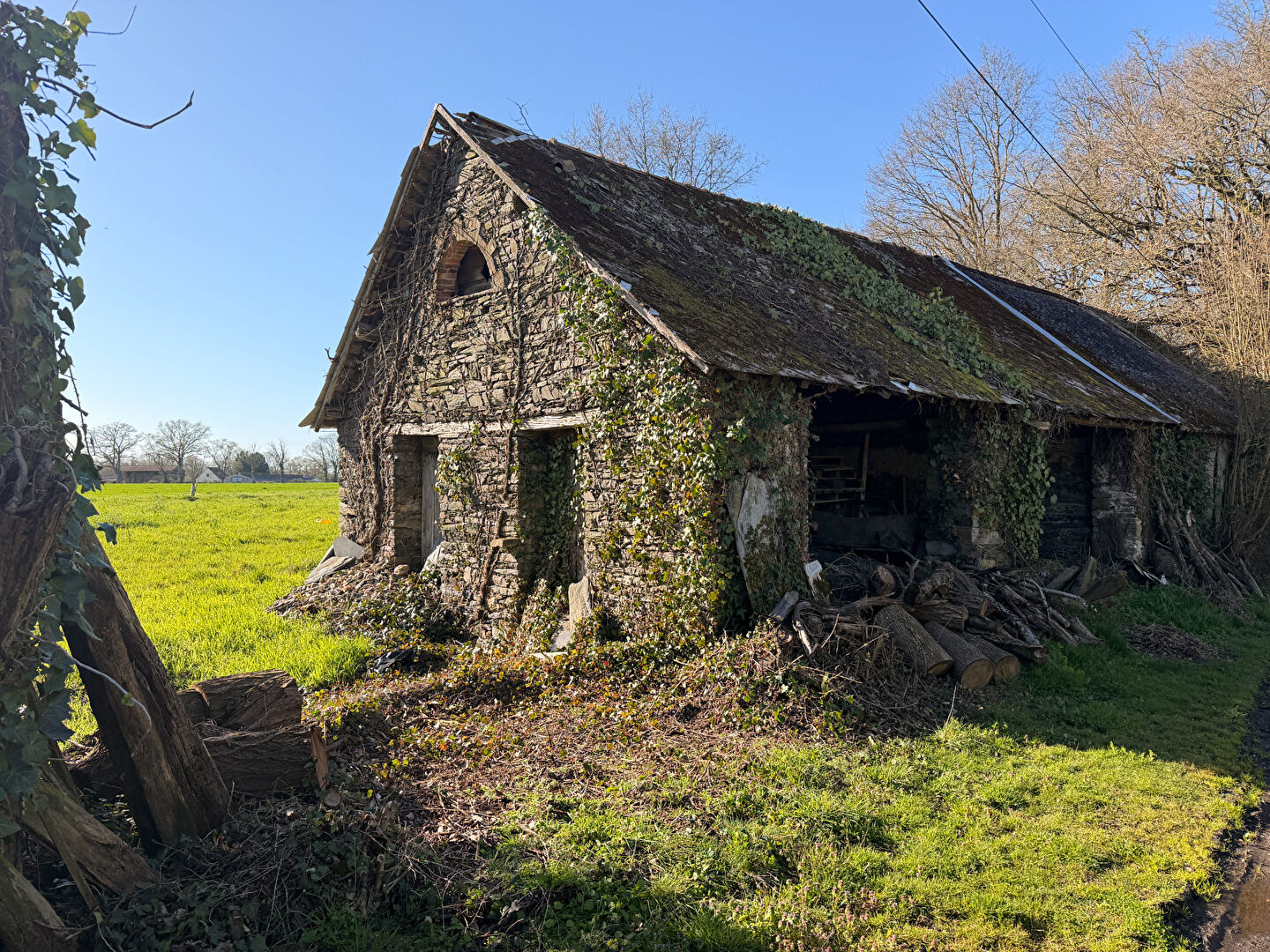 Terrain NOZAY (44170) 584.00 m&sup2;