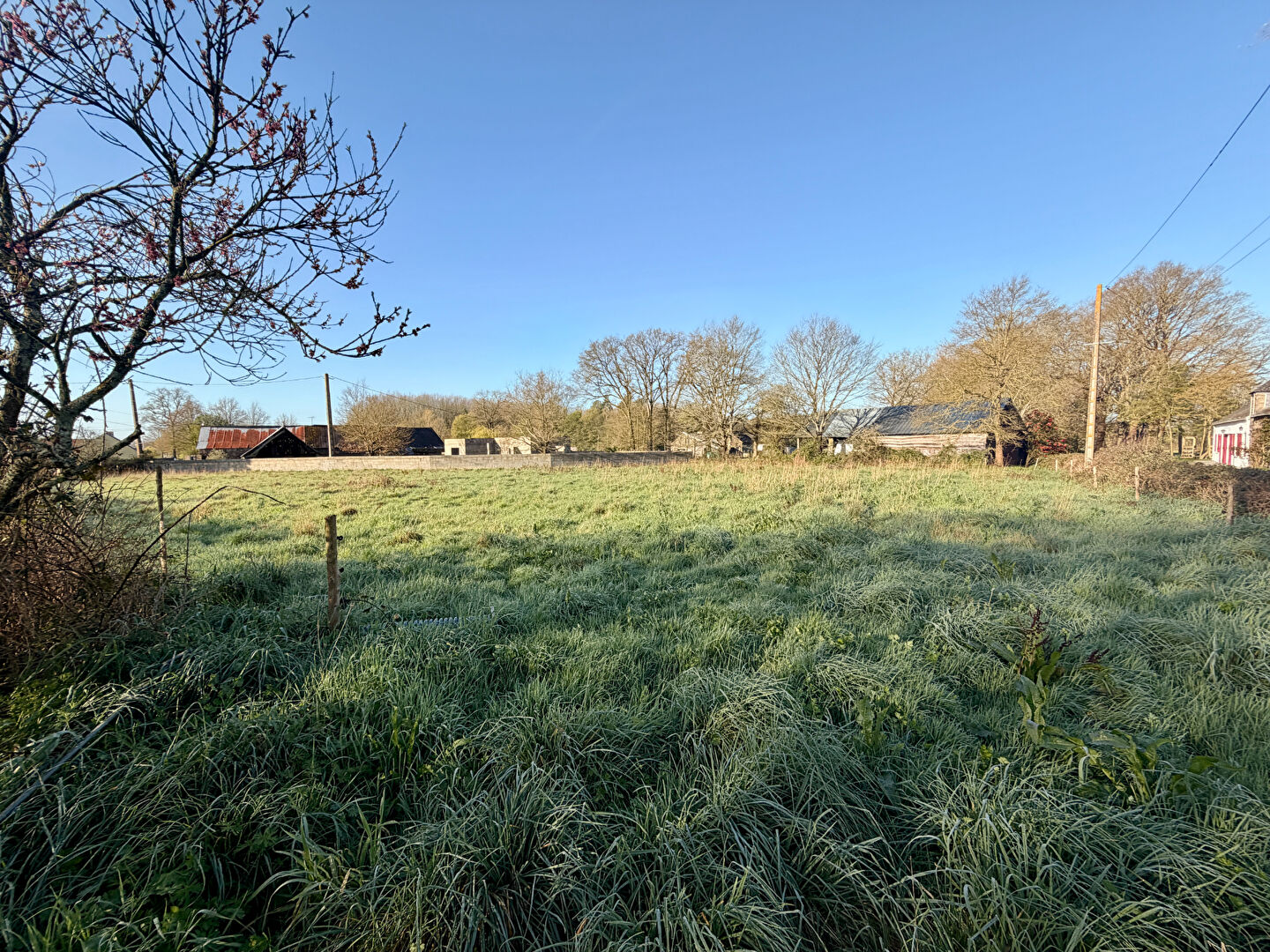 Terrain NOZAY (44170) 965.00 m&sup2;