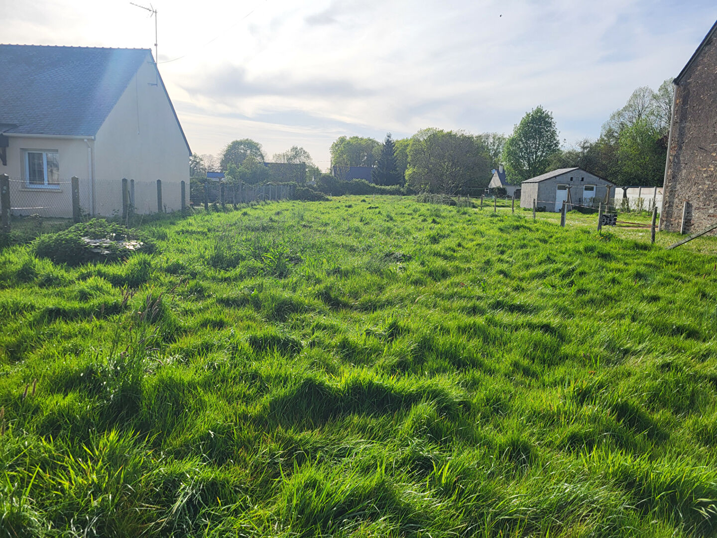 Terrain QUILLY (44750) 650.00 m&sup2;