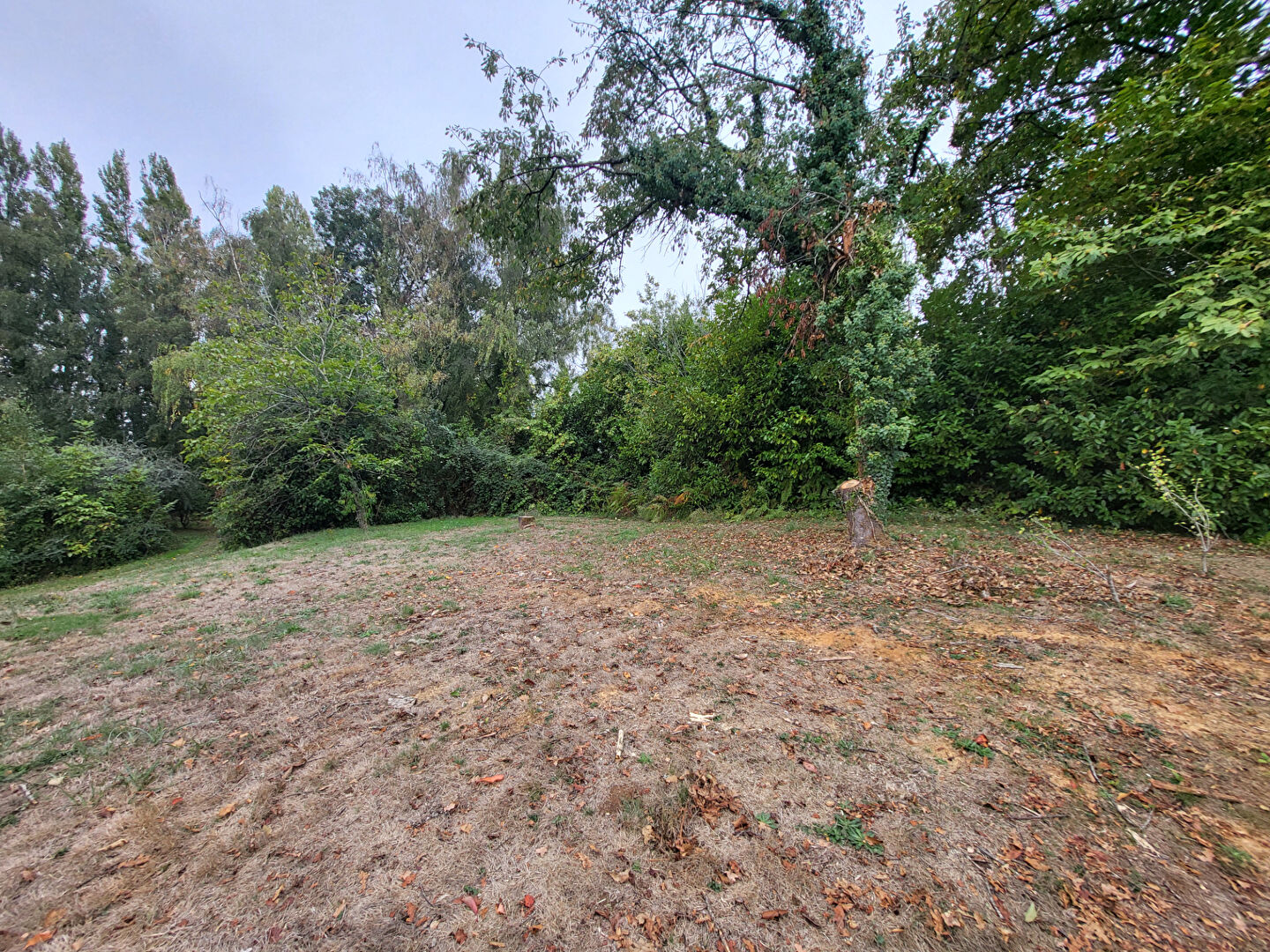 Terrain NOZAY (44170) 470.00 m&sup2;