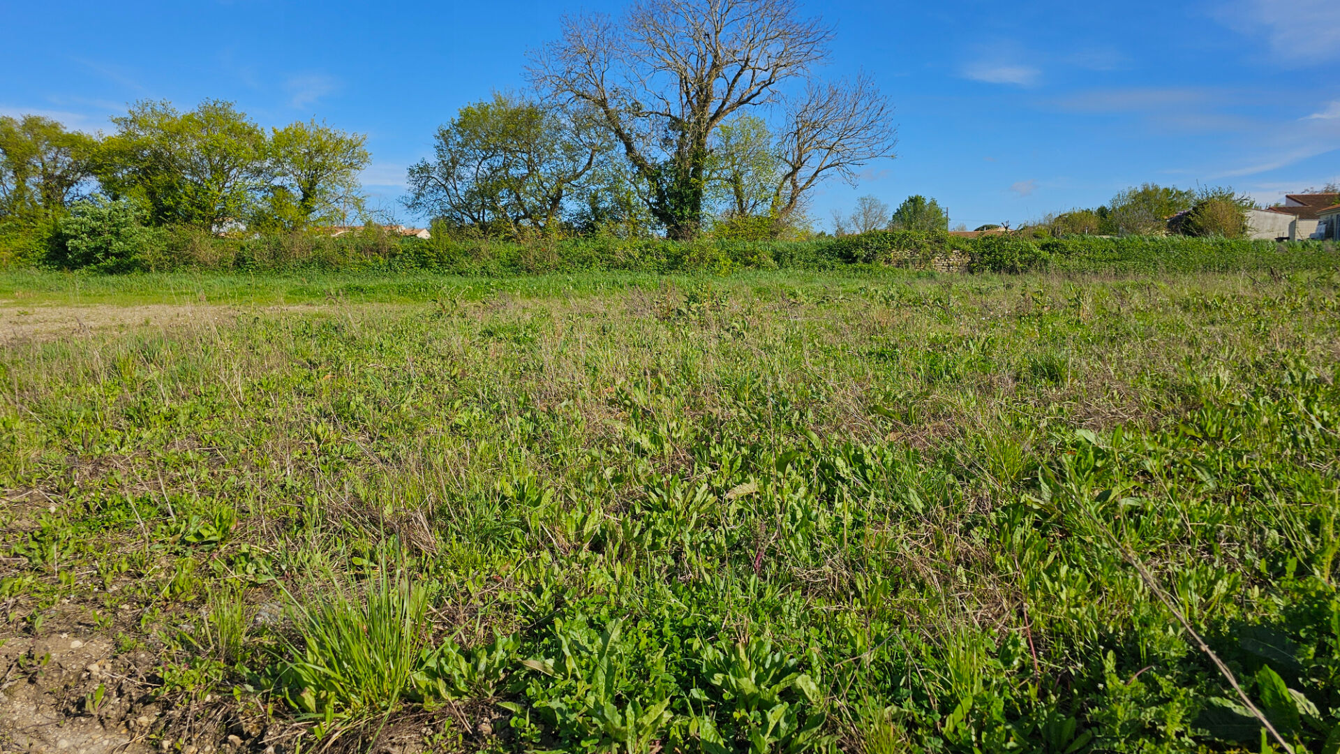 Terrain LOIRE LES MARAIS (17870) 524.00 m&sup2;