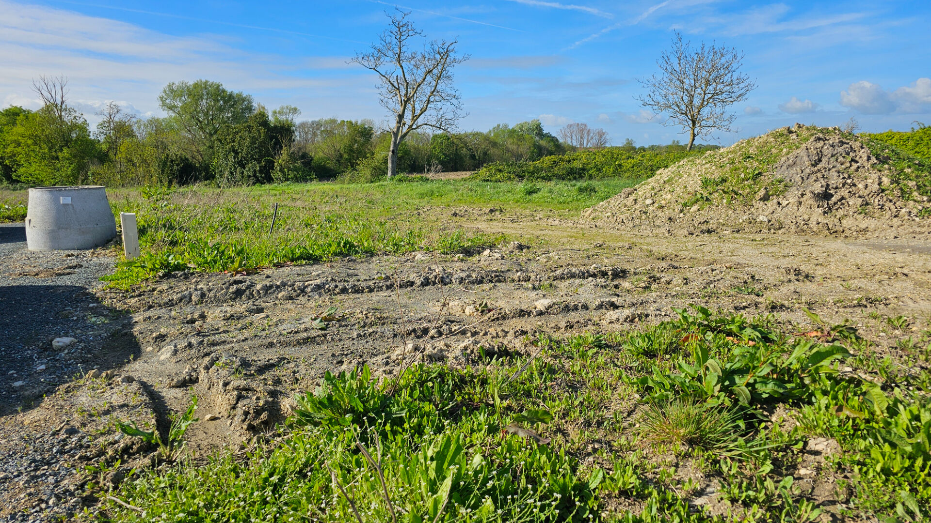 Terrain LOIRE LES MARAIS (17870) 593.00 m&sup2;