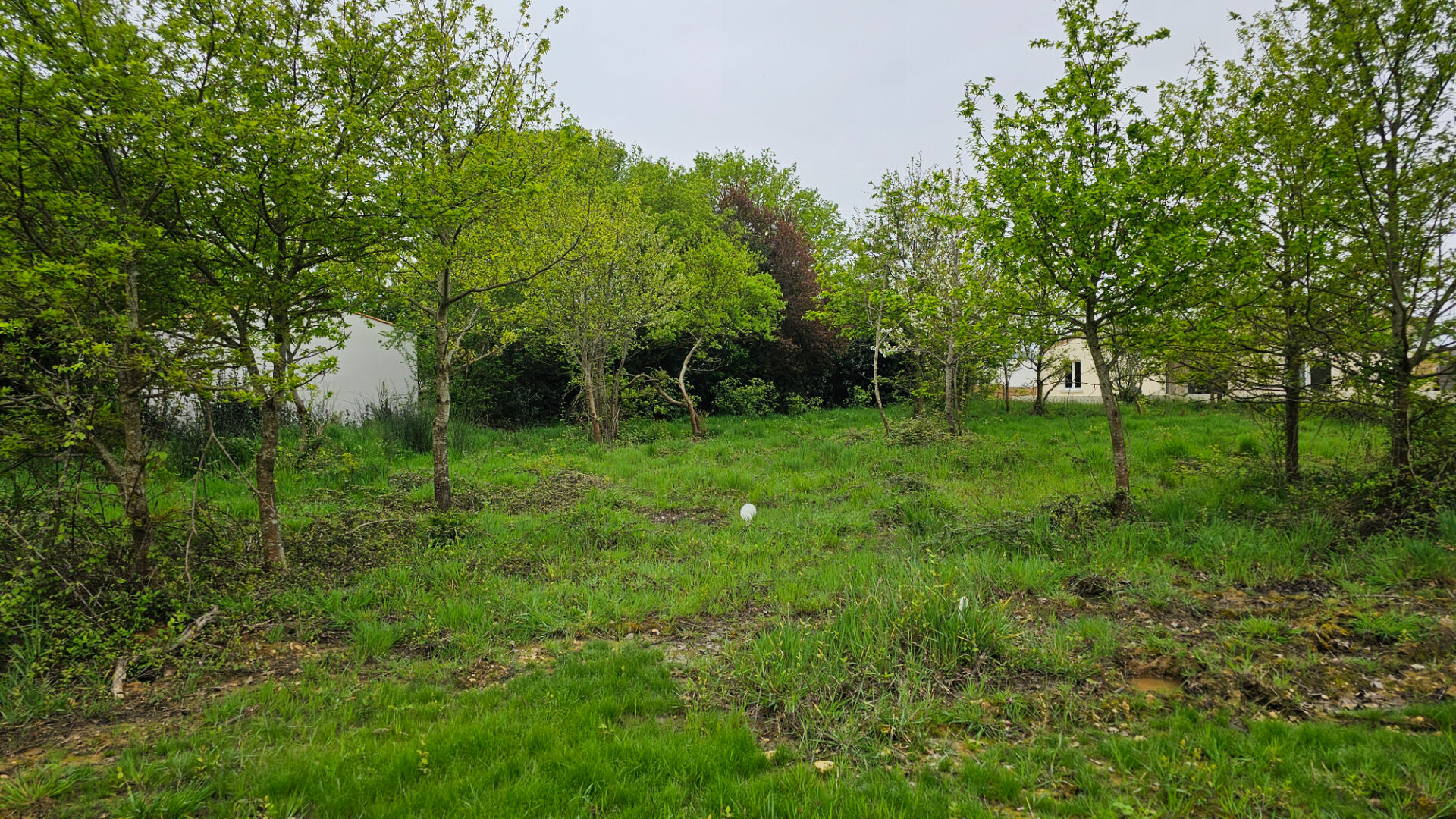 Terrain PORT DES BARQUES (17730) 752.00 m²