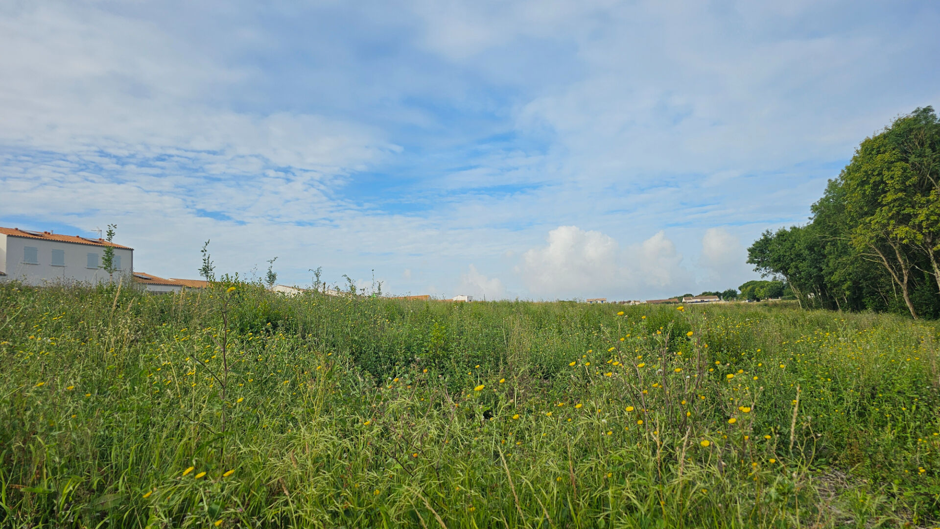 Terrain PORT DES BARQUES (17730) 409.00 m²
