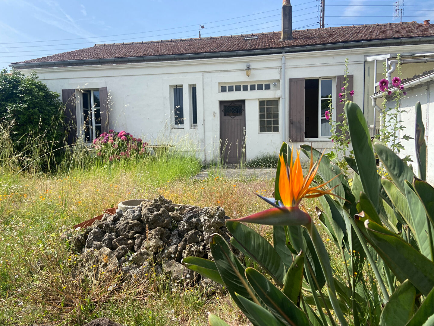 Maison ROCHEFORT (17300) 5 pièces 136.00 m²